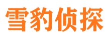 高台侦探公司